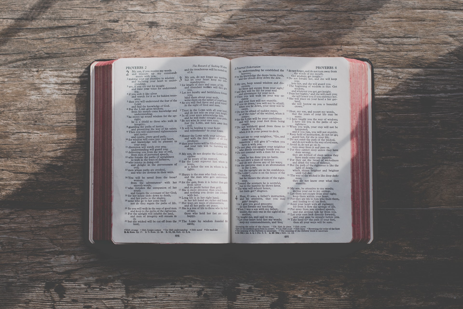 The Bible is the Church's Book - Holy Joys